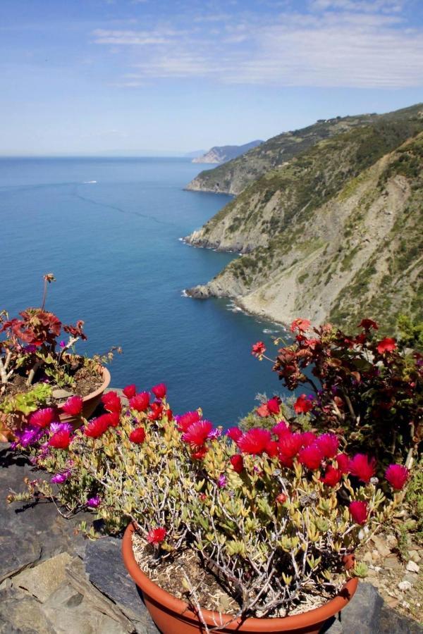 Casa Vacanze Beach House Vicino Alla Stazione Специя Екстериор снимка